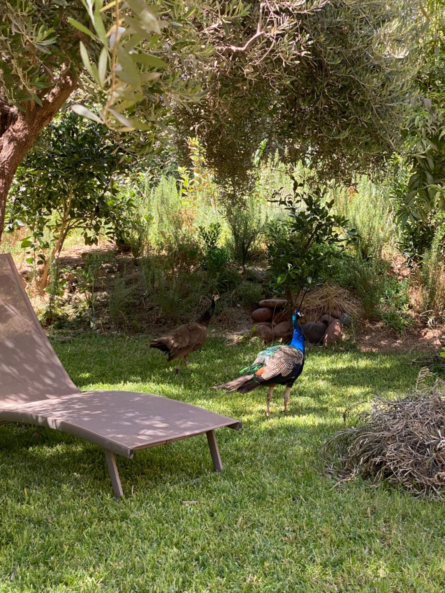 Jardin Sakina - Chambre D'Hotes Oulad Moumene Zewnętrze zdjęcie